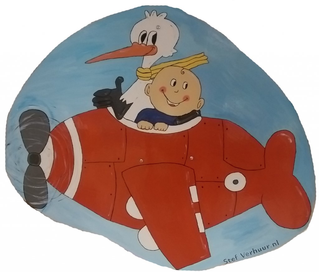 Ooievaar rood vliegtuigje foto