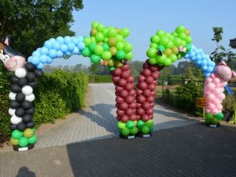 Ballonnenboog Boerderij