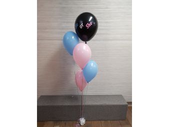 Gender reveal ballon tros he or she