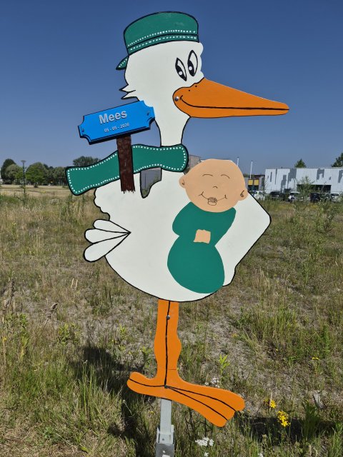 Hoera foto
