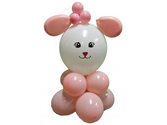 Ballonnen baby meisje