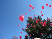 Helium hart ballonnen per st