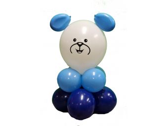 Ballonnen baby jongen